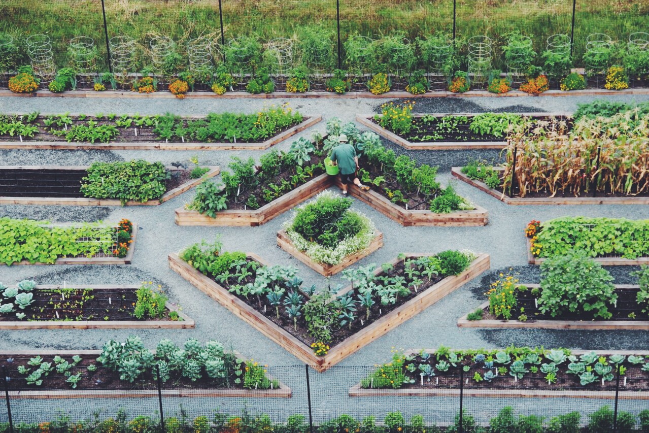 The Organic Gardener Ltd New Work