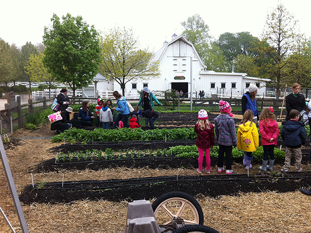 Green City Market