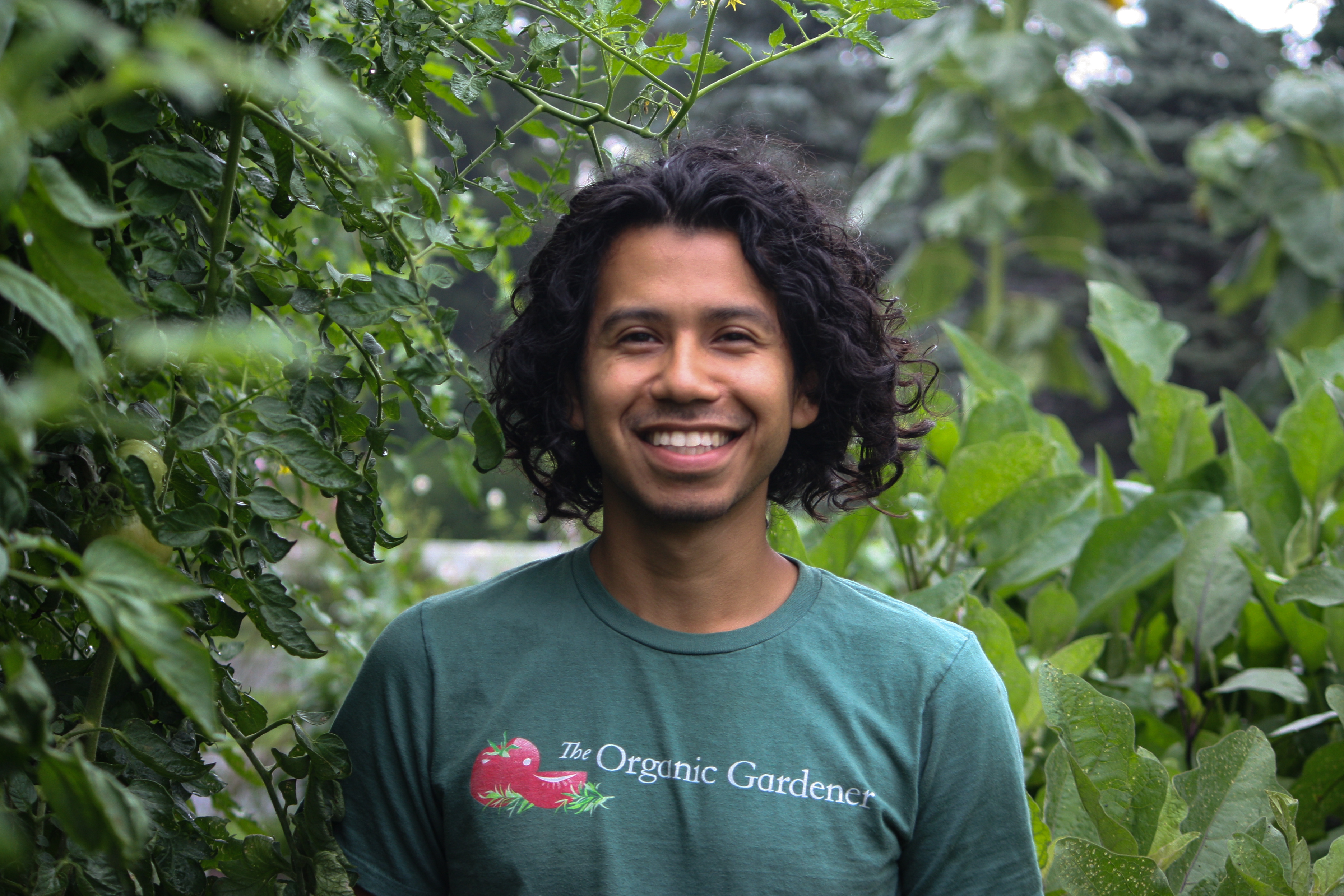 Our Team The Organic Gardener David Toledo Garden Educator